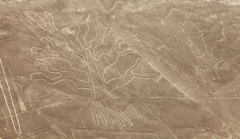 Obrazce na plošině Nazca.