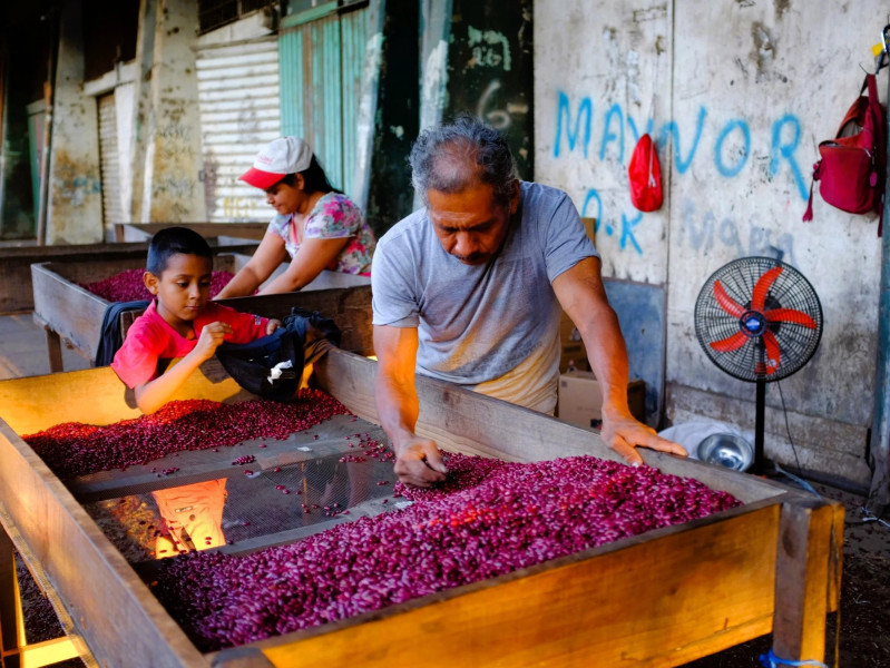 Momentky při toulkách uličkami Granady v Nikarague. 