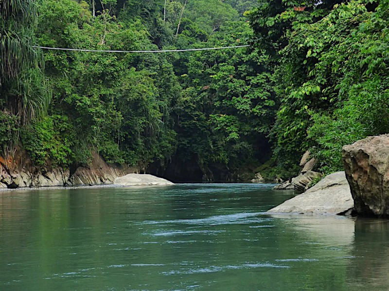 Pralesní řeka v Bukit Lawang.