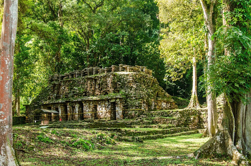 Ruiny pyramid v pralese.