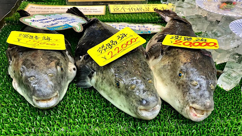 Rybí trh v Ósace.