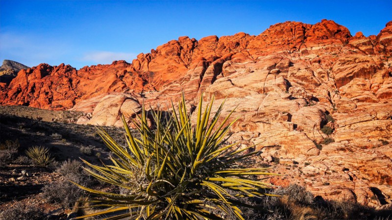 Red Rock Canyon.