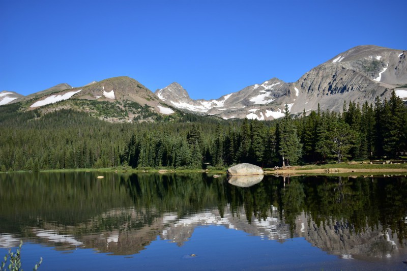 Roosevelt National Forests.