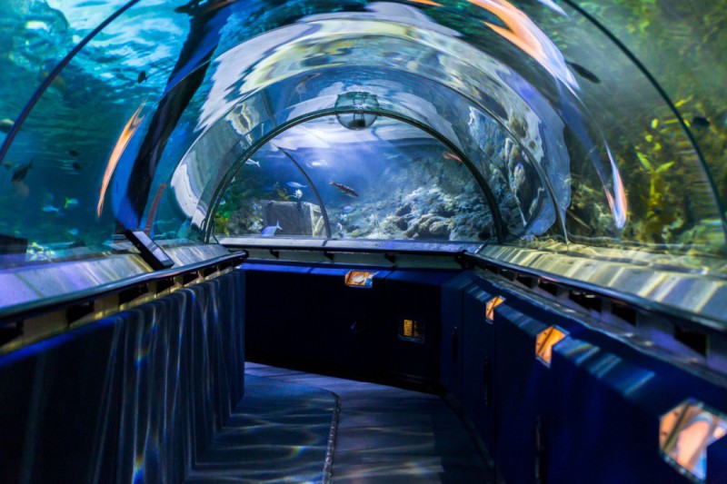 Akvárium SEA LIFE v Aucklandu.