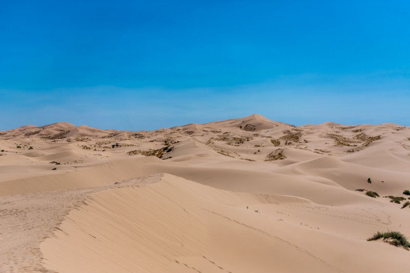 Dunas de Samalayuca.