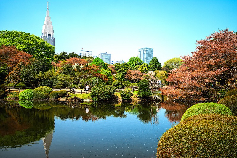 Shinjuku Gyoen National Park.