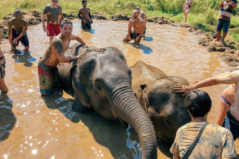 Koupání se slony v okolí Chiang Mai.