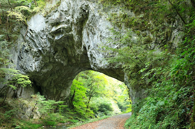 Taishakukyo Gorge.