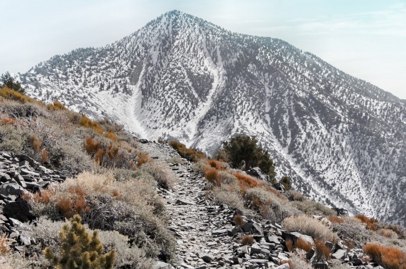 Telescope Peak.