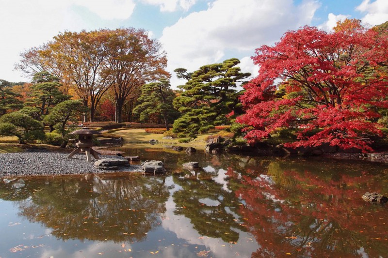 Japonská zahrada - park Yoyogi park v Tokiu.