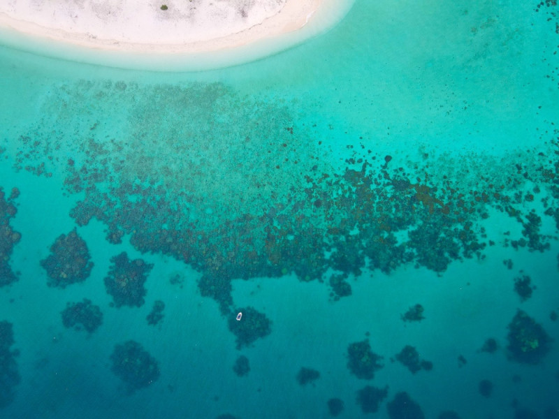 Velký bariérový útes.