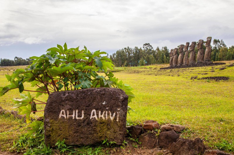Zelená pláň a sochy Moai hledící k moři.