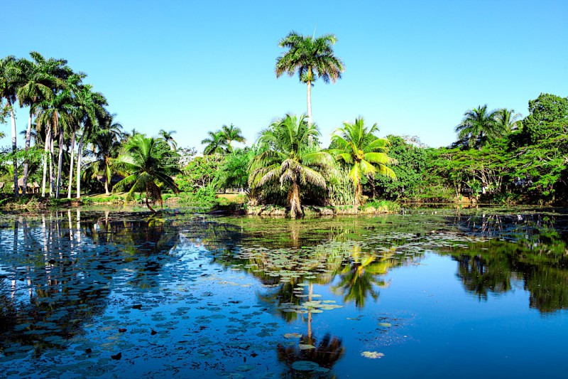 Zapata Peninsula