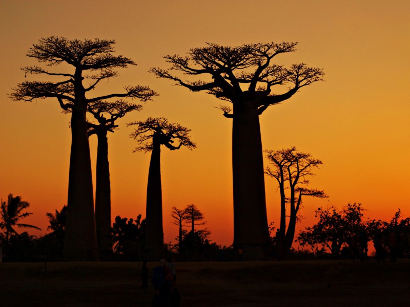 Západ slunce na Madagaskaru