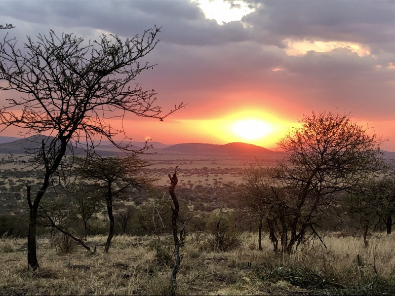 Západ slunce, Serengeti