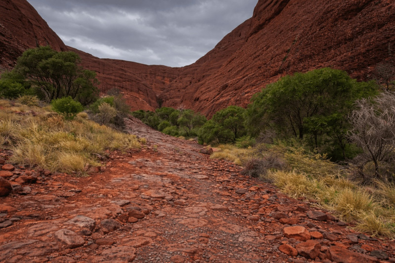 Červená kamenitá stezka mezi skalami a zelení po dešti v australském Red Centre.