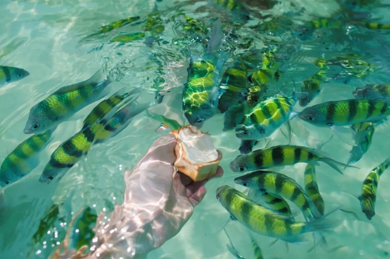 Šnorchlování v Ao Nang.