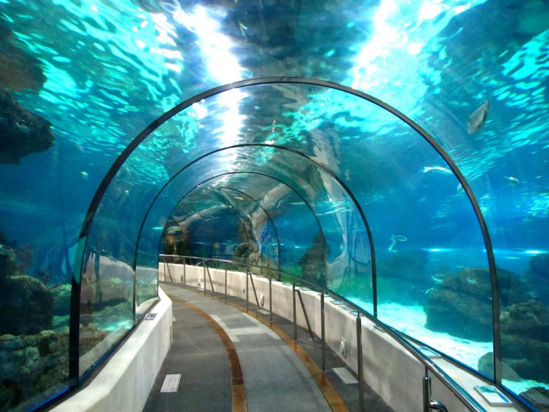 Akvárium v Bangkoku.