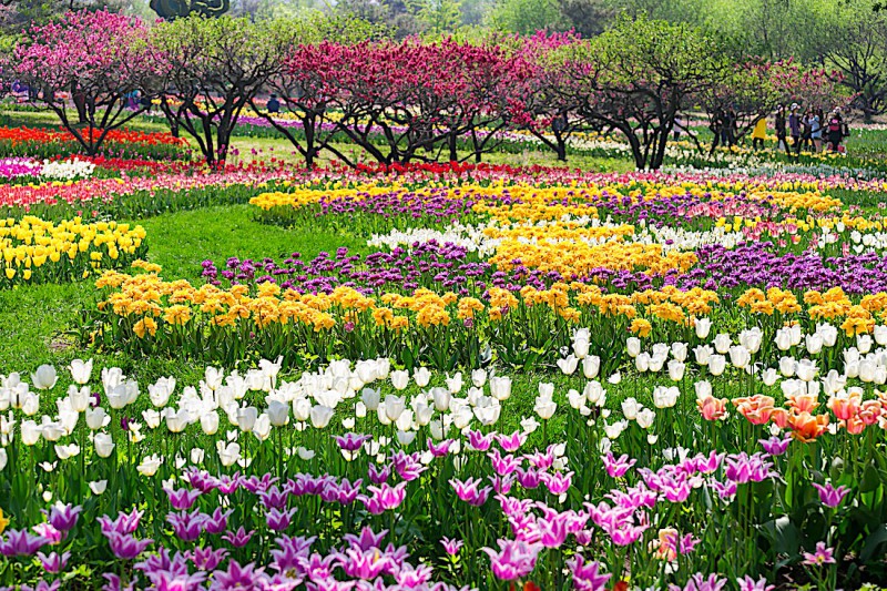 Botanická zahrada v Pekingu.