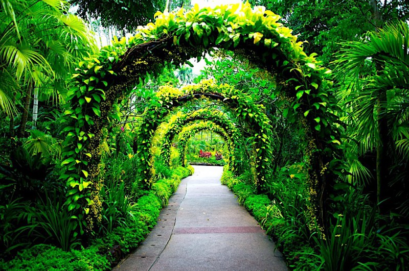 Botanická zahrada v Singapuru.
