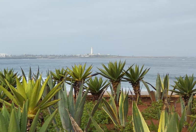 Pohled na maják El Hank.