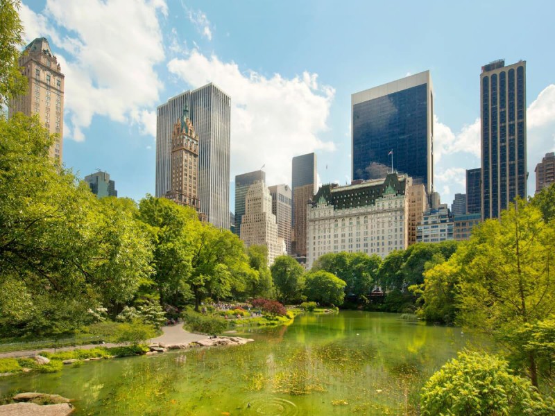 Central Park v New Yorku.