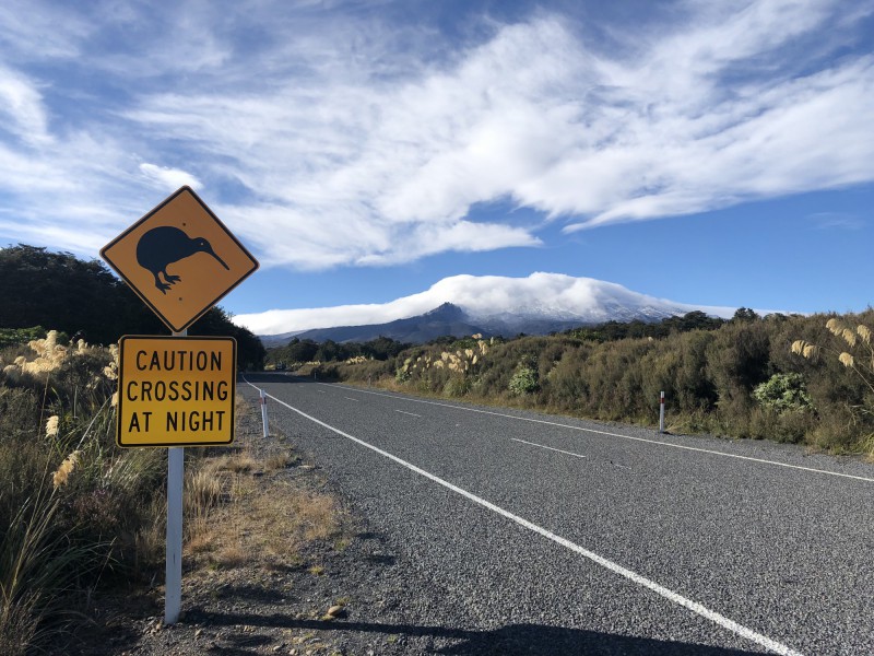 Cesta do Tongarira a značka pozor na Kiwi