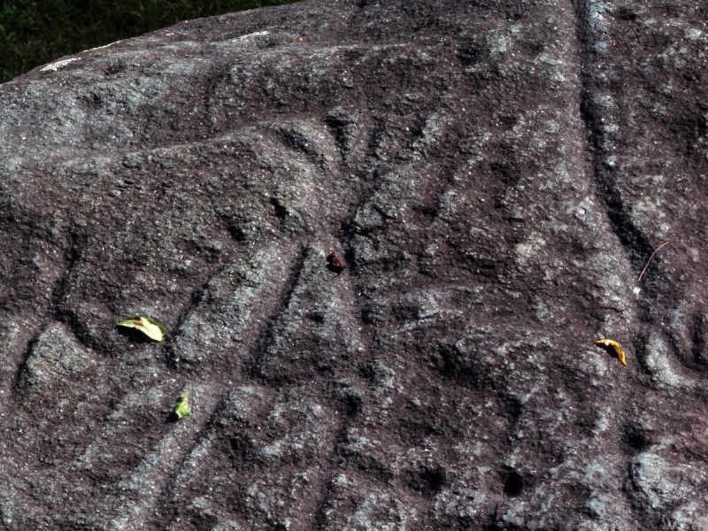 Starověký petroglyf zobrazující indiánského náčelníka kmene Cherokee na skále Judaculla.