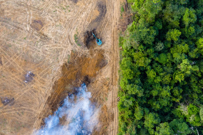 Letecký pohled na odlesňování