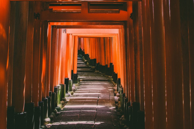 Brány torii Fushimi Inari