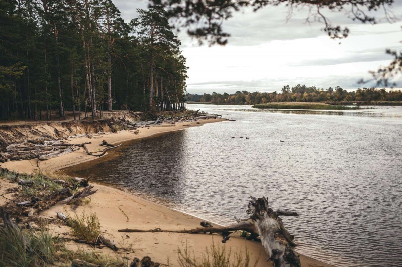 Národní park Gauja v Lotyšsku.