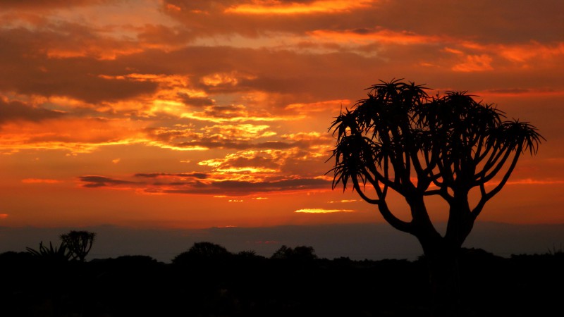 Západ slunce v Amboseli v Keni