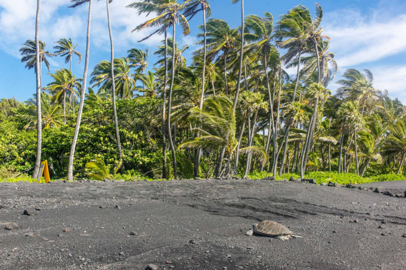 Vulkanická pláž na ostrově