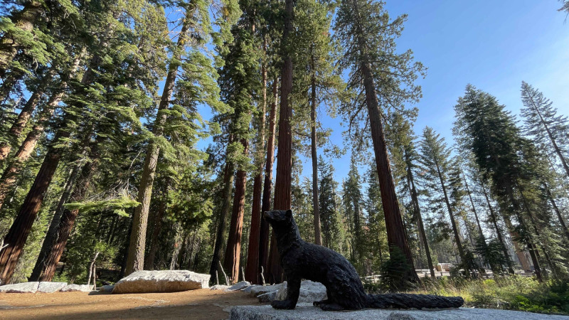 Přírodní i lidské úkazy v národním parku Yosemite.