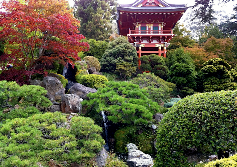 Japonská čajová zahrada.