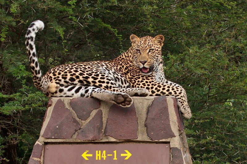 národní park Kruger, JAR