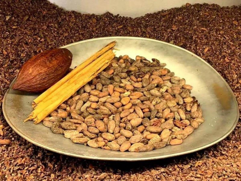 Kakaové boby položené v misce.
