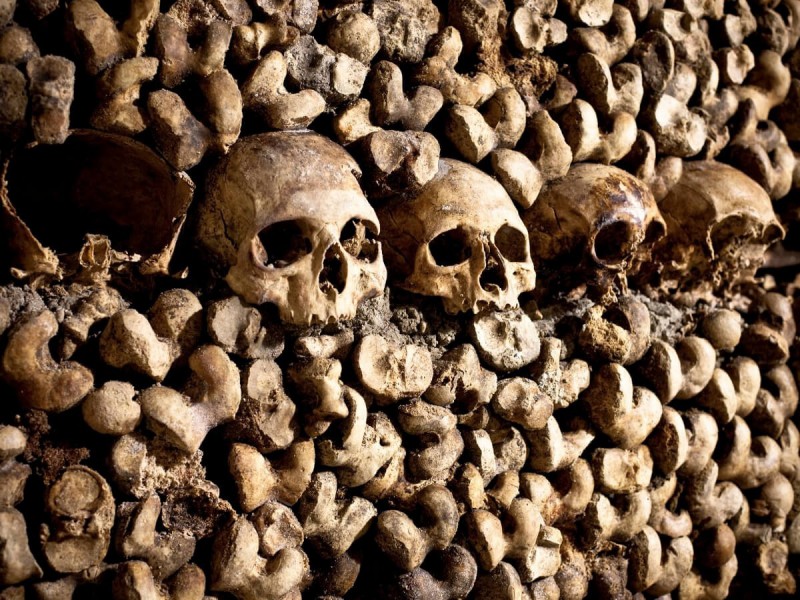 Lebky uložené ve stěně mezi kostmi v katakombách v Paříži.