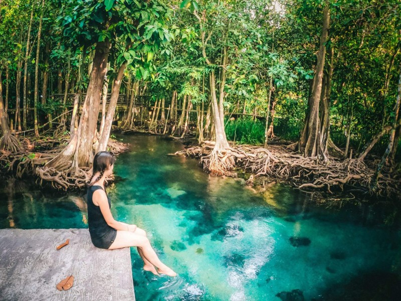 Tyrkysová voda obklopená zajímavými stromy v národním parku v Khlong Thom na ostrově Krabi.