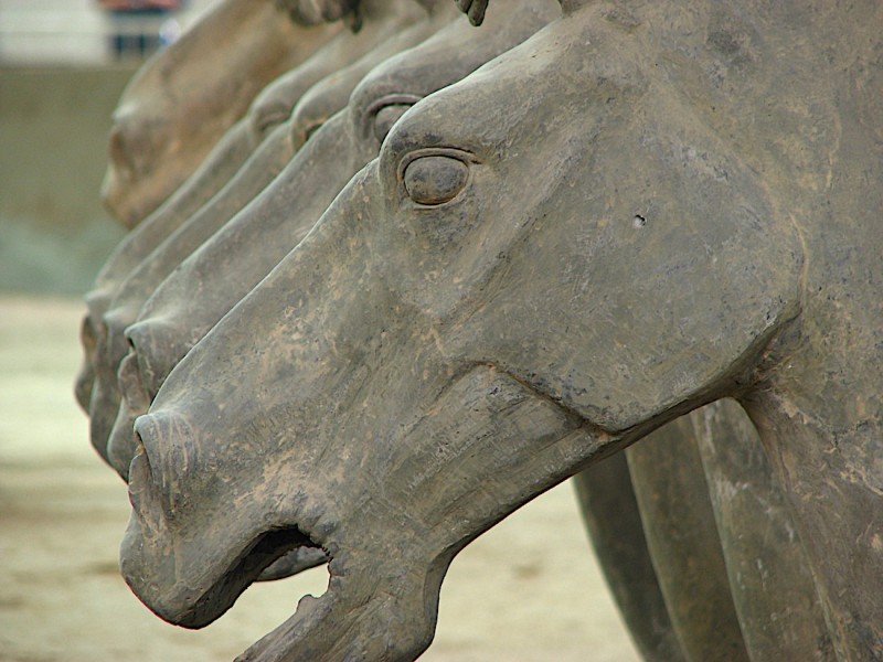 Koně terakotové armády.