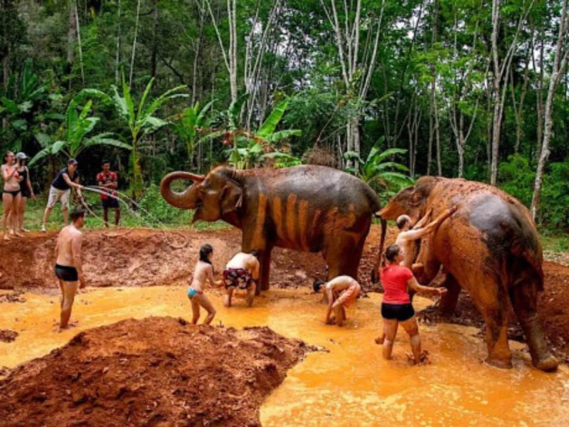 Turisté myjí vysloužilé slony v Thajsku u města Chiang Mai.