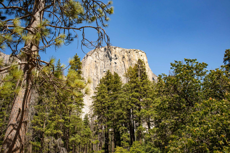 Mohutná hora a skála El Capitan Meadow.