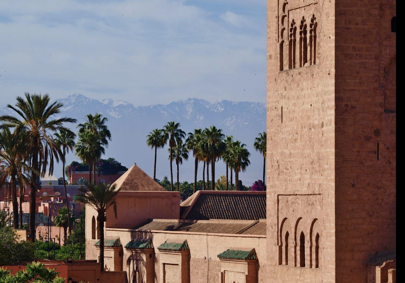 Palmy v horkém Marrákeši, za ním zasněžené hory Atlasu