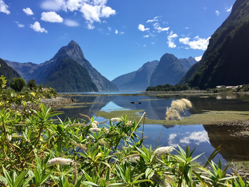 Příroda v Milford Sound