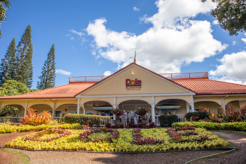 Plantáže Dole na havajském ostrově Oahu.