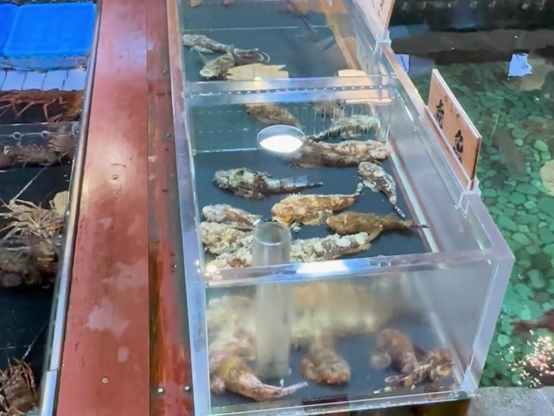 Nádrž s živými rybami u japonské restaurace.