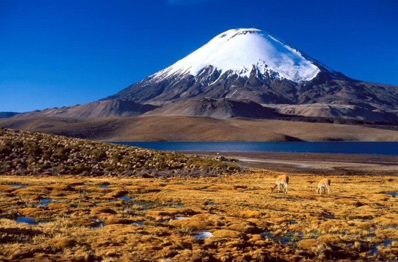 Národní park Lauca v Chile.