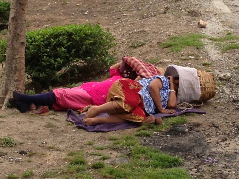 Sběračky odpočívají na čajových plantážích Darjeliing v Indii.