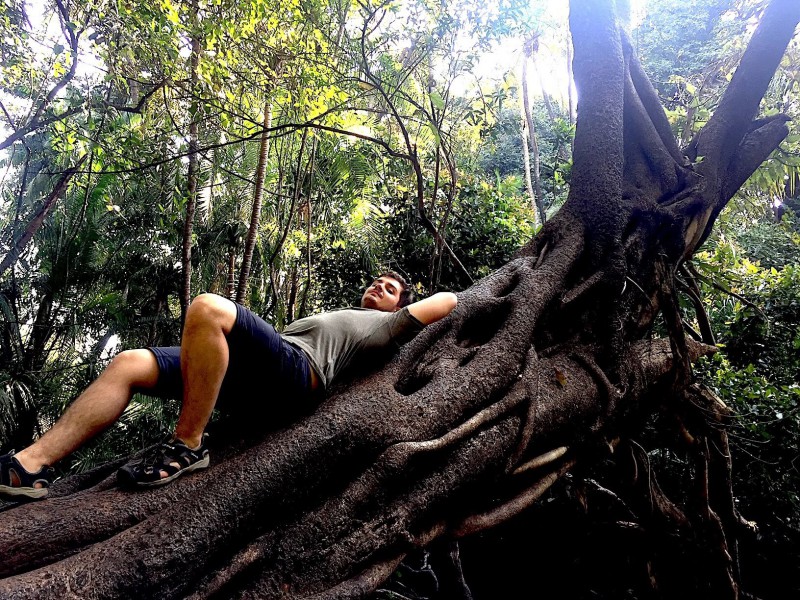 Odpočinek v pralese oproti Viktoriiným vodopádům