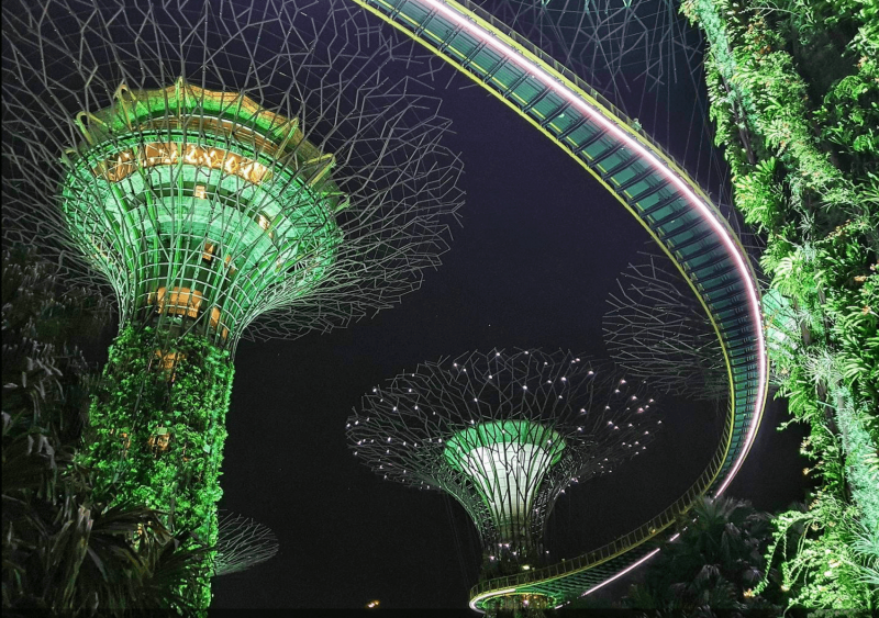 Večerní osvětlení superstromů v Gardens by the Bay.